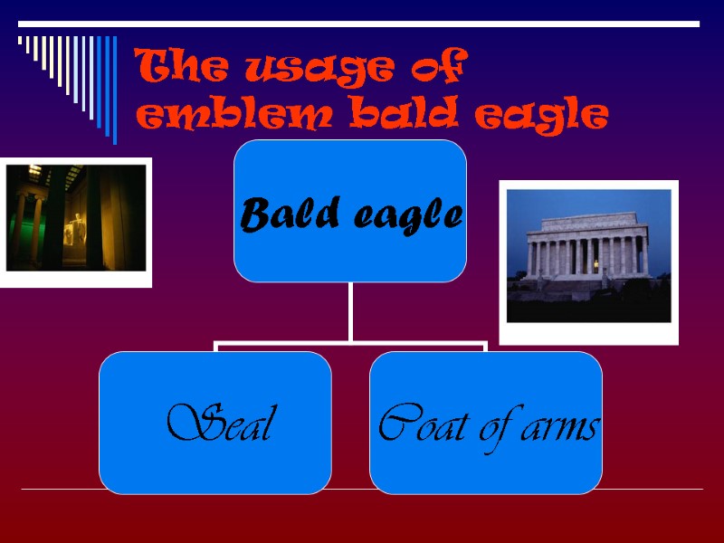 The usage of emblem bald eagle